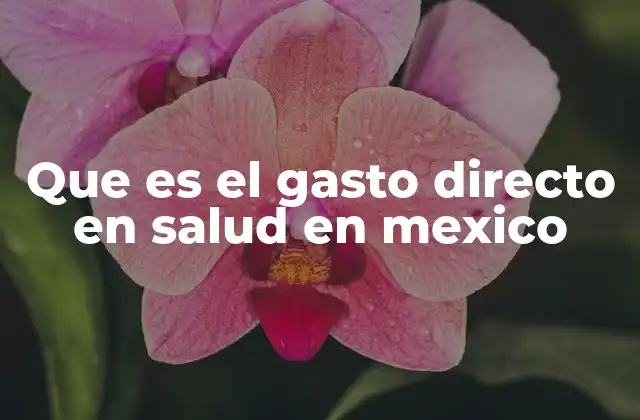 El rol del gasto directo en el sistema de salud mexicano