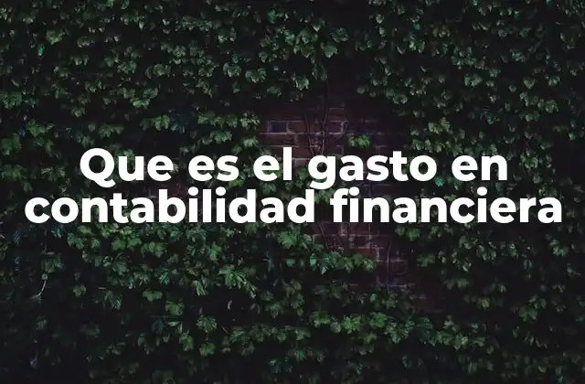 Que es el Gasto en Contabilidad Financiera
