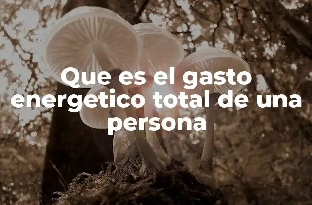 Que es el Gasto Energetico Total de una Persona