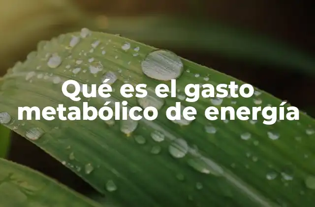 Qué es el Gasto Metabólico de Energía
