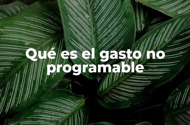 Qué es el Gasto No Programable