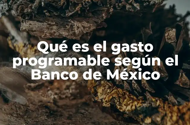Qué es el Gasto Programable según el Banco de México 2 La importancia del gasto programable en la planificación fiscal