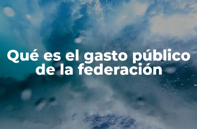 Qué es el Gasto Público de la Federación