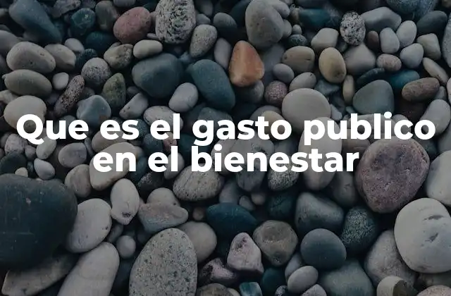 Que es el Gasto Publico en el Bienestar