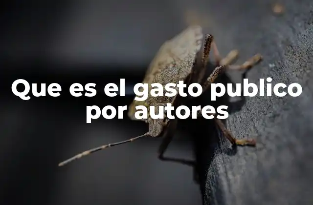 Que es el Gasto Publico por Autores