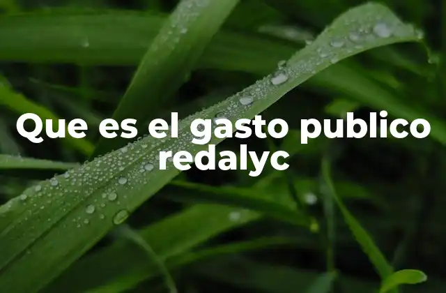 Que es el Gasto Publico Redalyc