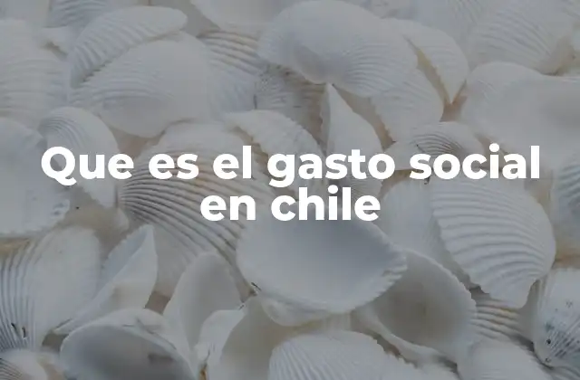 Que es el Gasto Social en Chile