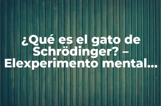 ¿qué es el Gato de Schrödinger? – Elexperimento Mental que Revoluciona la Física Cuántica