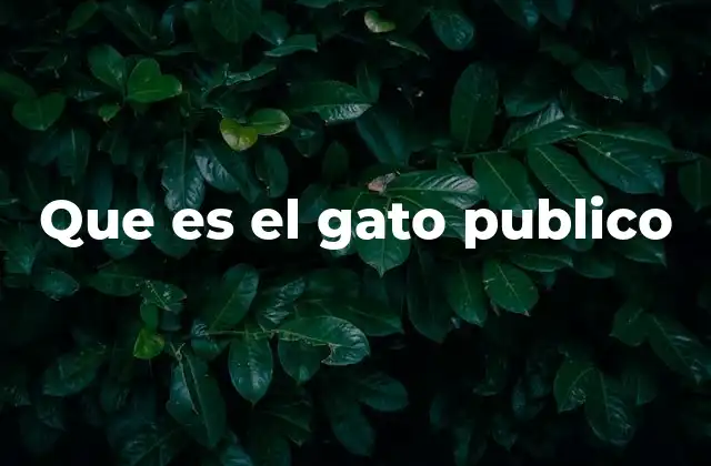 Que es el Gato Publico