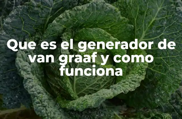Que es el Generador de Van Graaf y como Funciona