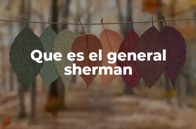 Que es el General Sherman