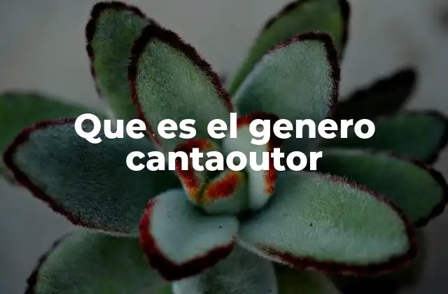 Que es el Genero Cantaoutor