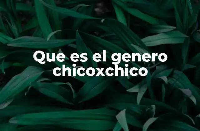 Que es el Genero Chicoxchico