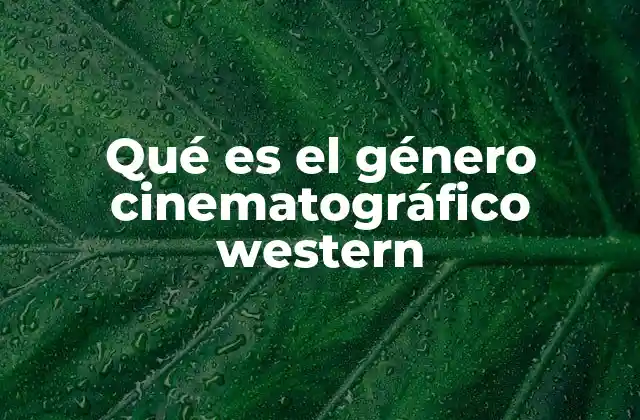 Qué es el Género Cinematográfico Western 2 La evolución del western en la cultura popular
