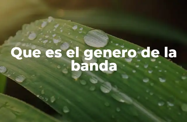 Que es el Genero de la Banda 2 La importancia de identificar el género de una banda