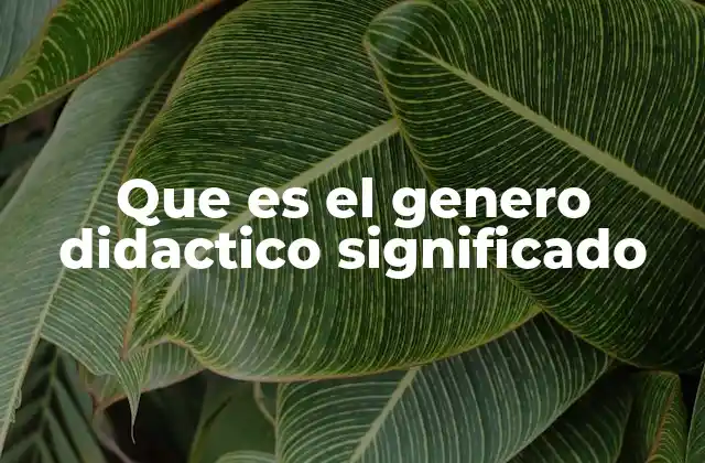 Que es el Genero Didactico Significado