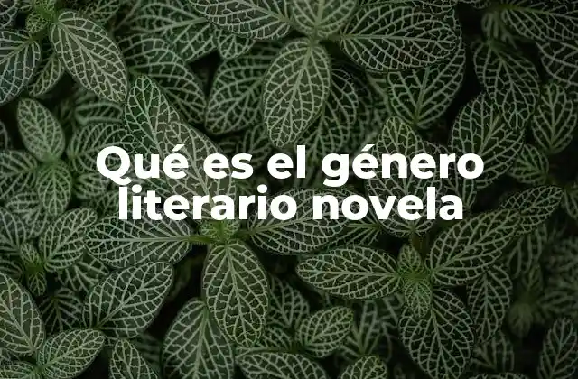 Qué es el Género Literario Novela