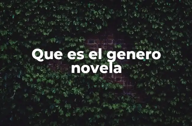 Que es el Genero Novela