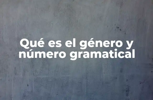 Qué es el Género y Número Gramatical 2 La importancia de la concordancia en la lengua