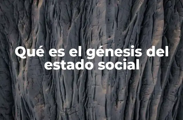 Qué es el Génesis Del Estado Social