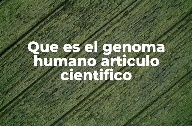 El ADN como base de la vida humana