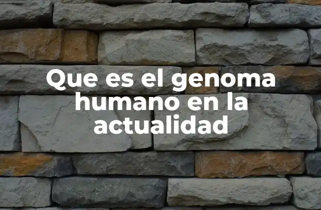 Que es el Genoma Humano en la Actualidad 2 La importancia del genoma humano en la medicina moderna