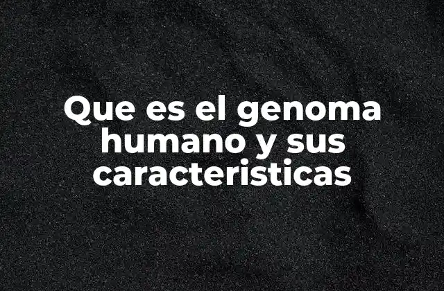 Que es el Genoma Humano y Sus Caracteristicas 2 La estructura y organización del material genético humano