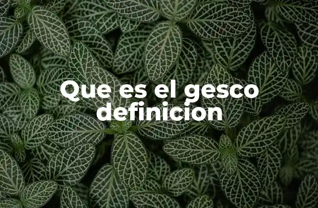 El rol del GESCO en la lucha contra la delincuencia organizada