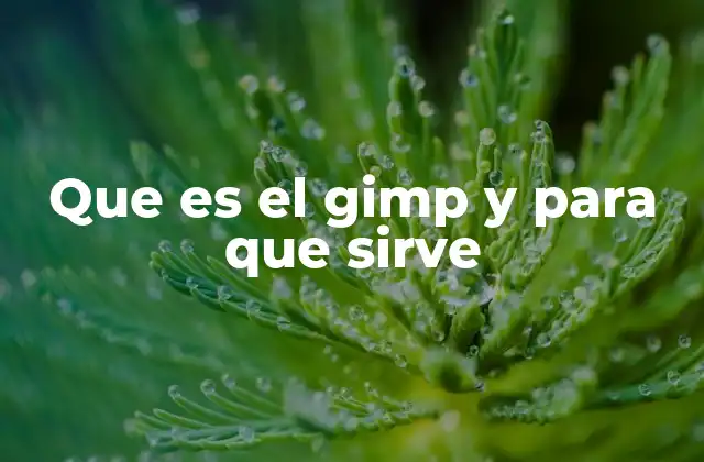 Que es el Gimp y para que Sirve