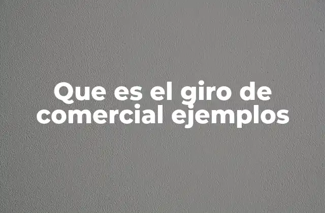 Que es el Giro de Comercial Ejemplos