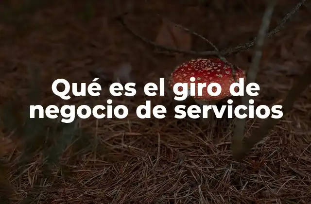 Qué es el Giro de Negocio de Servicios 2 La importancia de clasificar correctamente el giro de negocio de servicios
