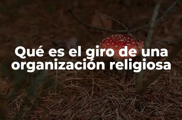 Qué es el Giro de una Organización Religiosa