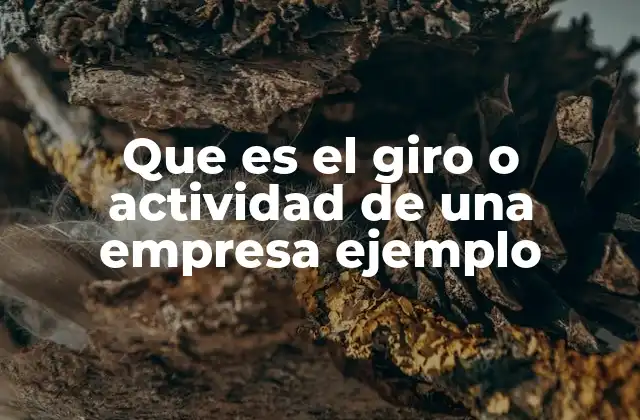 Que es el Giro o Actividad de una Empresa Ejemplo