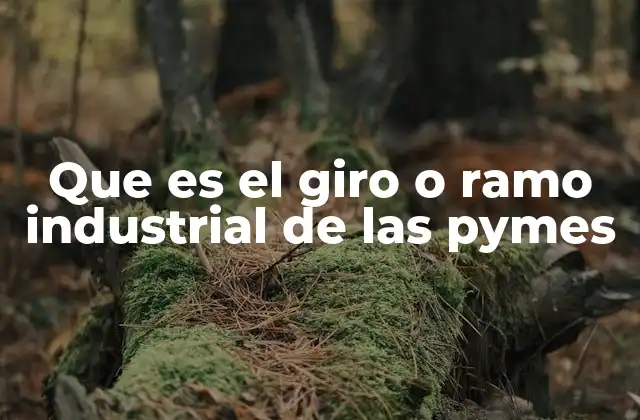 Que es el Giro o Ramo Industrial de las Pymes