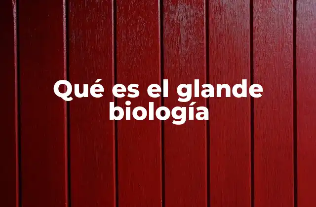 Qué es el Glande Biología
