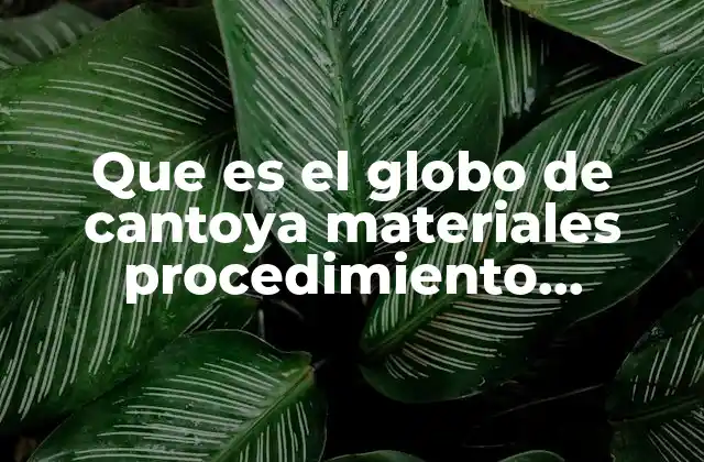 Que es el Globo de Cantoya Materiales Procedimiento Estructura 2 Características esenciales de los globos de Cantoya