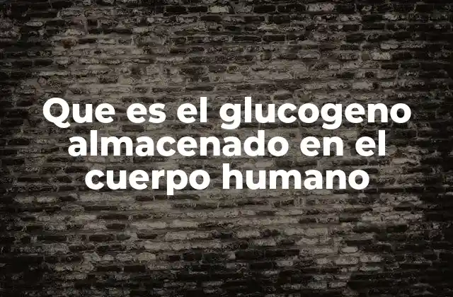 Que es el Glucogeno Almacenado en el Cuerpo Humano
