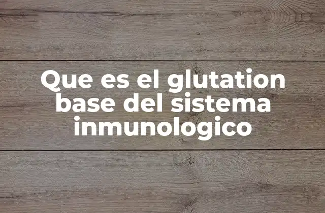 Que es el Glutation Base Del Sistema Inmunologico 2 Cómo el glutatión interactúa con el sistema inmunológico