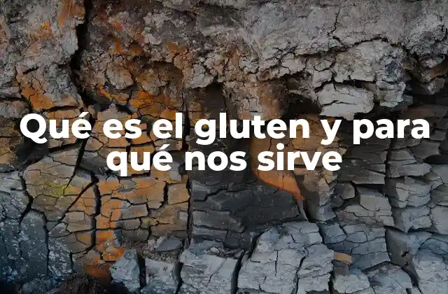 Qué es el Gluten y para Qué Nos Sirve