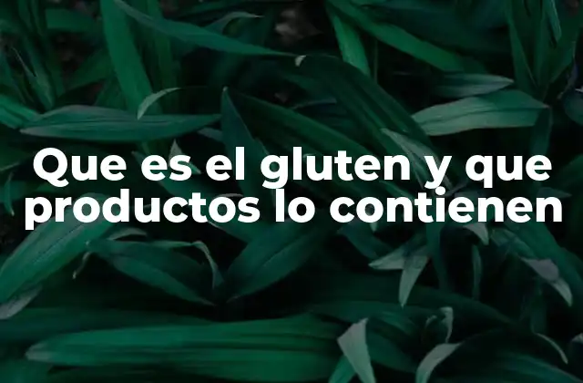 Que es el Gluten y que Productos Lo Contienen