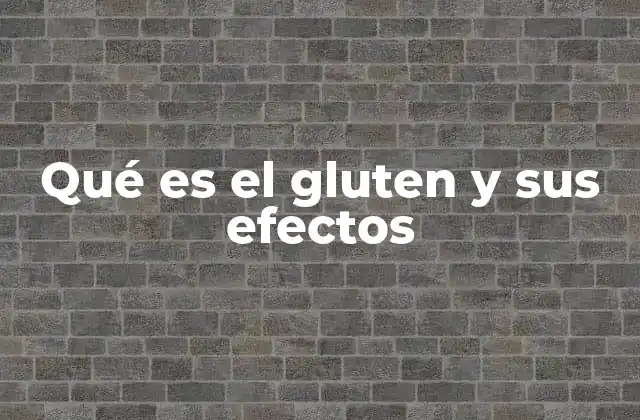 Qué es el Gluten y Sus Efectos 2 El papel del gluten en la industria alimentaria
