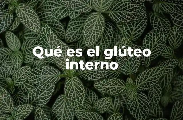 Qué es el Glúteo Interno
