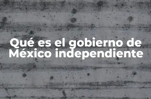 Qué es el Gobierno de México Independiente