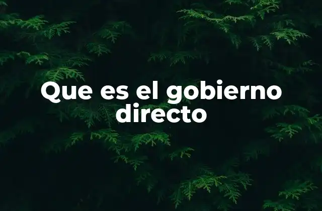 Que es el Gobierno Directo