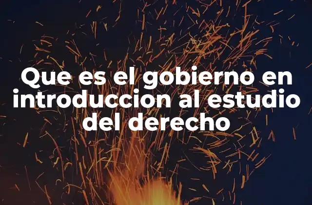 Que es el Gobierno en Introduccion Al Estudio Del Derecho