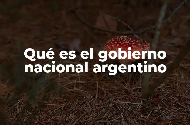 La importancia del gobierno en la vida cotidiana de los argentinos