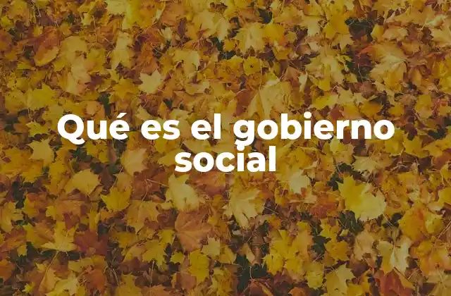 Qué es el Gobierno Social