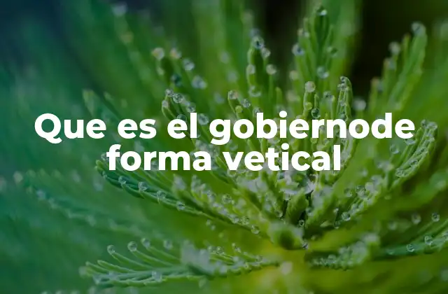 Que es el Gobiernode Forma Vetical
