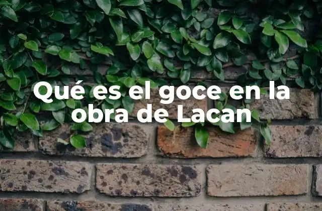 Qué es el Goce en la Obra de Lacan