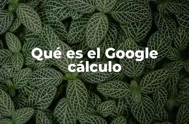 Qué es el Google Cálculo